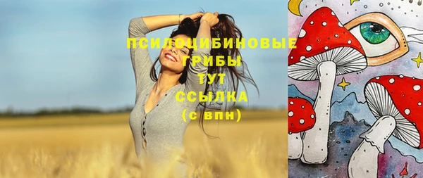 альфа пвп Няндома